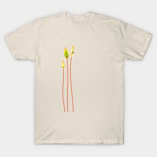 Calyptrae (light) T-Shirt